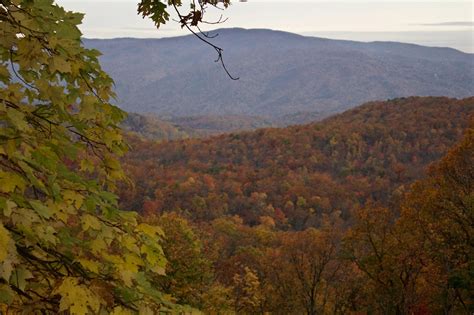 the mountains are covered in autumn foliage and trees with yellow, red, and green leaves