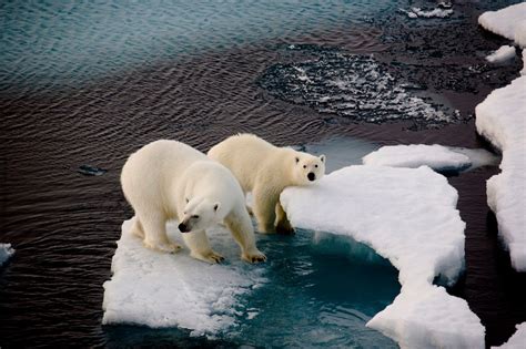 Geoengineering: A Real Weapon Against Climate Change? | JSTOR Daily