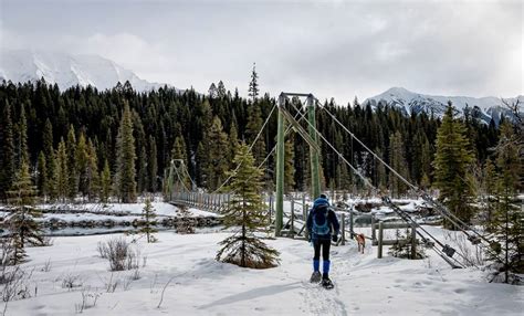 What to Do in Kootenay National Park in Winter - Hike Bike Travel