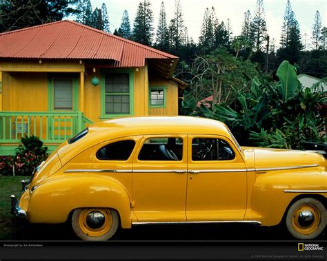 图片：最新美国国家地理优秀摄影作品-黄色主题（13P） - 美国国家地理高清图片 - 美景旅游博客