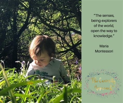 Maria Montessori nature quotes 💚 - The Curiosity Approach