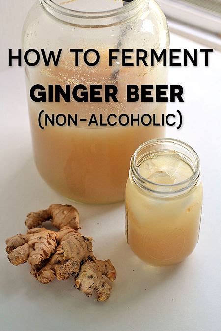 Ginger Beer Recipe Ideas - How to Make Homemade Ginger Beer