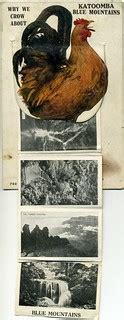 Postcard, "Why we crow about Katoomba..." showing foldout | Flickr