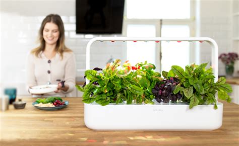 Click and Grow Indoor Smart Herb Garden Review (3 Products) 2020