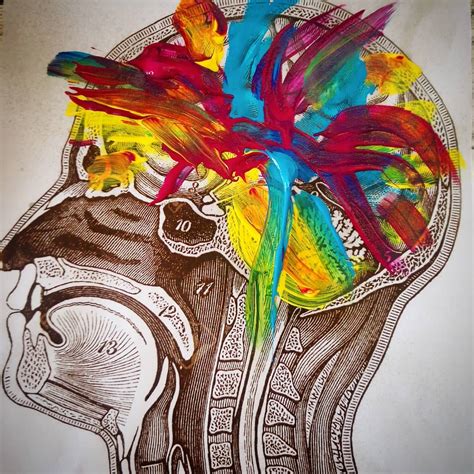 Braintractography primary colors | The Neuro Bureau