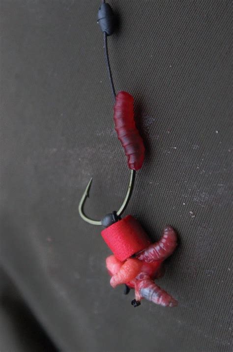 Why you need to use maggots this winter - Articles - CARPology Magazine Carp Fishing Rigs, Carp ...