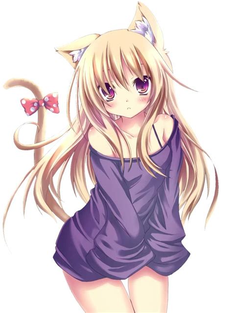 Cute nekos | Anime Amino