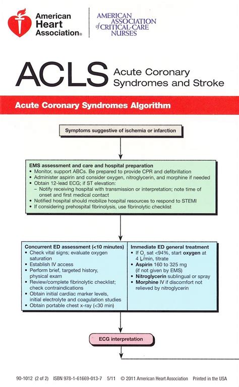 Nurse Nacole | Nurse Meets YouTube: 2010 ACLS Guidelines & New Algorithms | Real Nerd ...