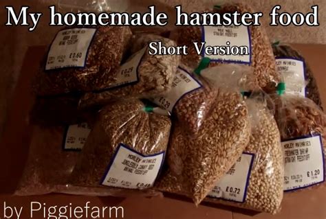 DIY Hamster Food Mix - petdiys.com