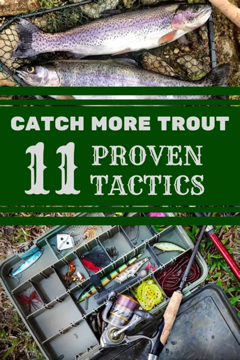 11 Proven Trout Fishing Tips you can Trust | A Man & His Rod