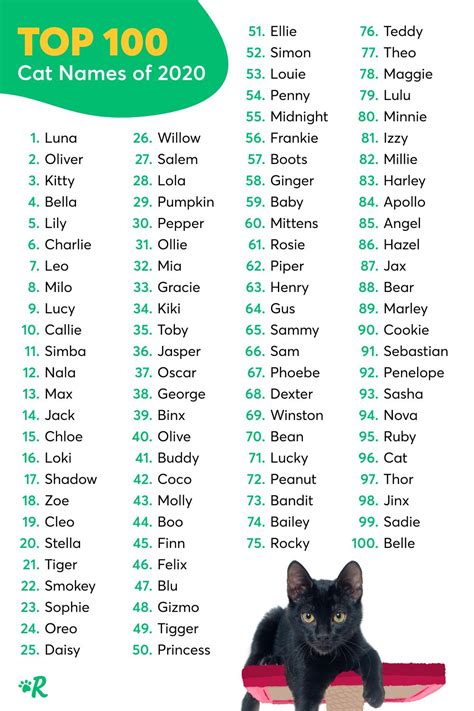 Cat Names Male List