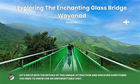 All About Glass Bridge Wayanad You Must Know - Tourld