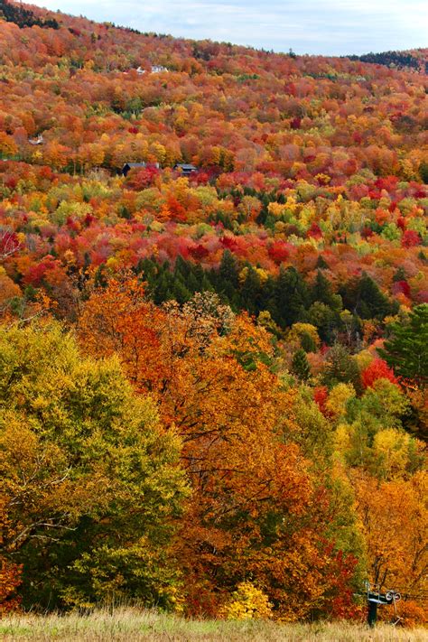 Stowe, Vermont Fall Foliage, Oct. 11, 2019 – Ryan Arel