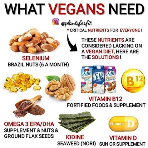 ️ Do you keep an eye on these critical nutrients ️ It's quite a ...