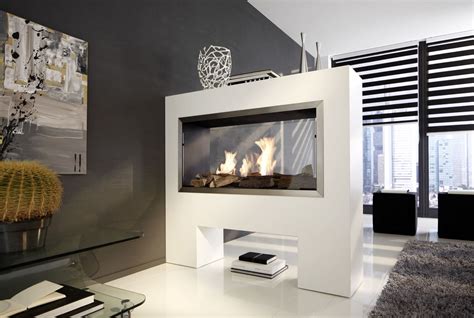 2 Sided Electric Fireplace Insert | FIREPLACE DESIGN IDEAS