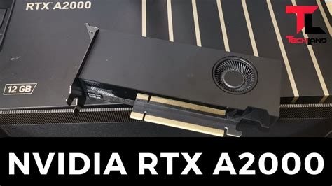 Nvidia RTX A2000 Professional Graphics Leadtek 12GB GDDR6 CUDA Core ...