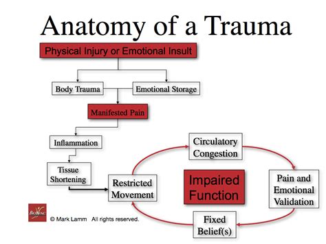 Anatomy of a Trauma » BioSync Research Institute