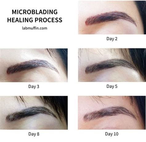 Eyebrow Microblading: How It Works and Before & After | Lab Muffin Beauty Science