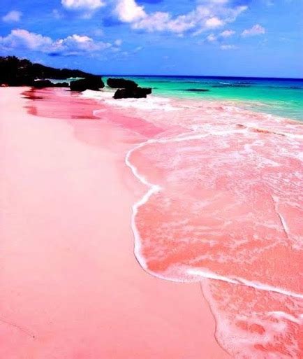 Fakta Menarik Tentang Pantai Pink Lombok yang Harus Anda Ketahui | NNC Netralnews