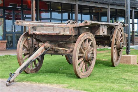 In South Africa, the ox-wagon was adopted as an Afrikaner cultural icon. Ox-wagons are typically ...