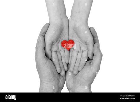 Family holding small red heart in hands Stock Photo - Alamy