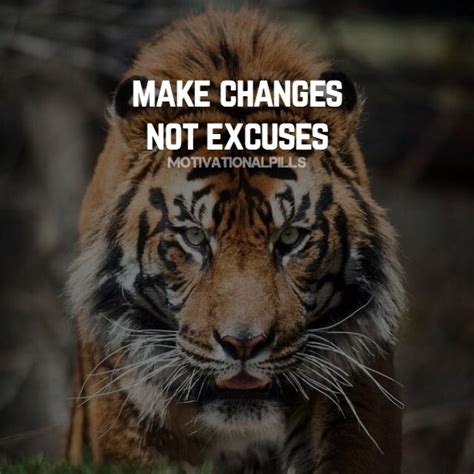 MAKE CHANGES NOT EXCUSES ️ | Tiger quotes, African quotes, Lion quotes