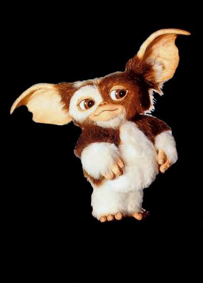 Gizmo - Gizmo Photo (807423) - Fanpop