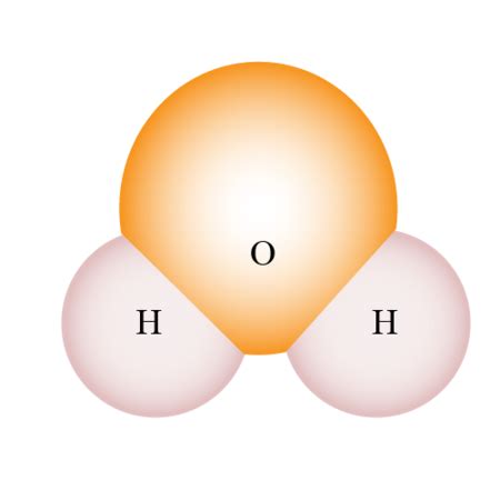 Water Molecule Model