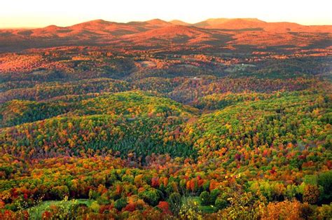 fall backdrop – Fayetteville Farmers Market