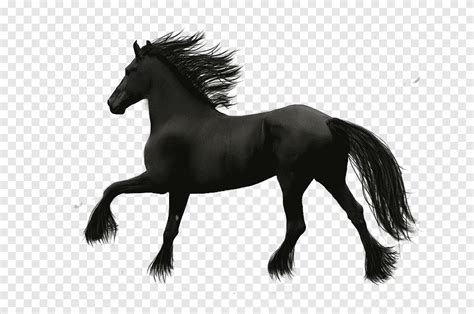 Free download | Friesian horse, Horse Cartoon Horse s,Running horse ...