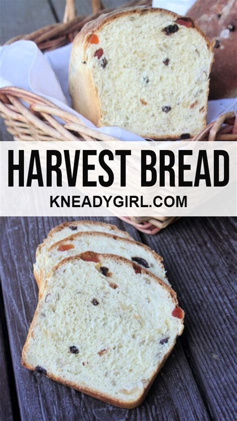 Harvest Bread | Recipe | Harvest bread, Flavorful breakfast, Homemade baked bread