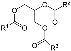 Triacylglyceride Metabolism | Lecturio Online Medical Library