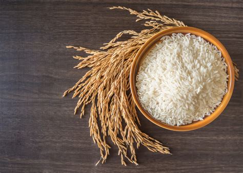 Carbs in Rice: Does Rice Have a Place in a Low-Carb Diet?