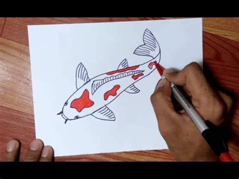 Cara Menggambar IKAN KOI dengan Mudah - YouTube