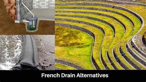 Best French Drain Alternatives: Top 7 Picks