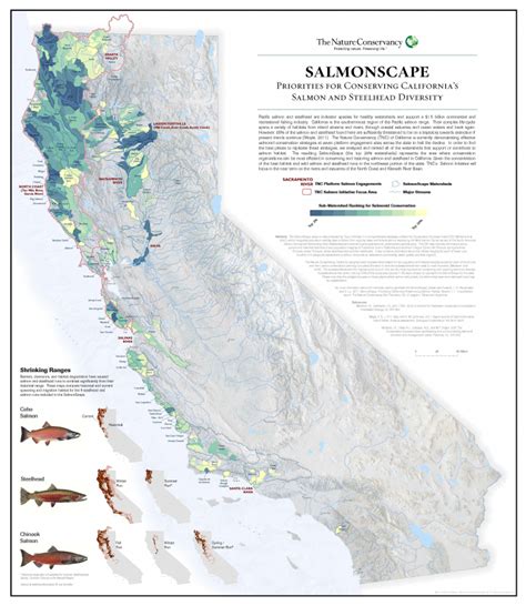 Salmon at TNC – State of Salmon