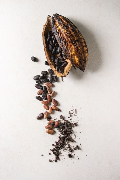 Premium Photo | Variety of cocoa beans