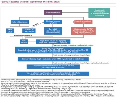 Myasthenia Gravis Treatment