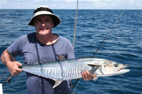 It is the Mackerel Islands after all | Fishing - Fishwrecked.com - Fishing WA. Fishing Photos ...