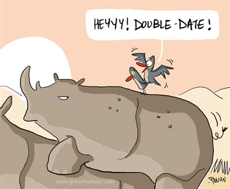 Green Humour: Oxpecker and Rhino foursome