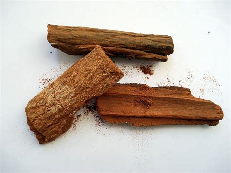 Chinchona bark is not a 'cure' for COVID-19 and it could seriously harm those who take it