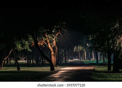 267,631 Night park background Images, Stock Photos & Vectors | Shutterstock