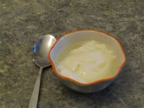 3 Easy Ways To Make Powdered Milk Yogurt – Urban Fermentation