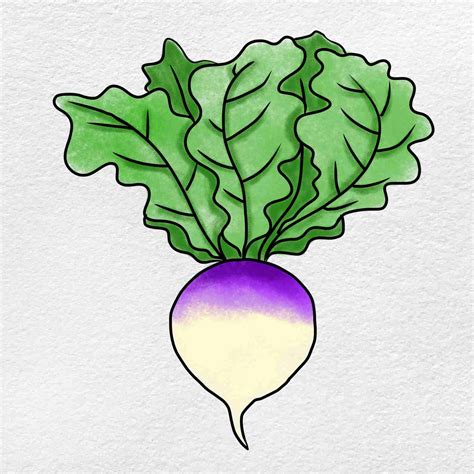 Turnip Drawing - HelloArtsy