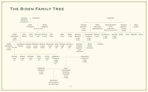 Biden Family Tree as posted by The Whitehouse : r/UsefulCharts