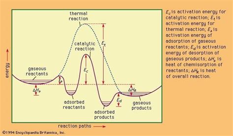 Spice of Lyfe: Chemical Reaction Symbols And Meanings