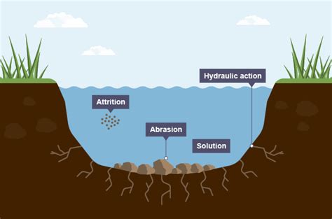 Types Of Erosion Diagram | Quizlet