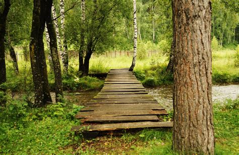 The Bridge Over The River Free Stock Photo - Public Domain Pictures