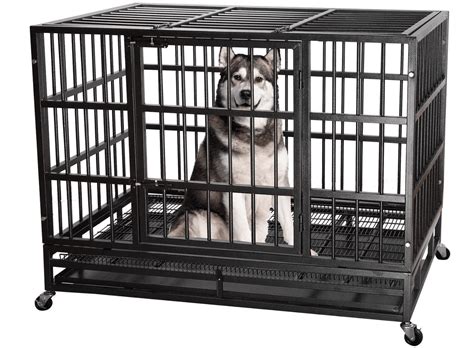 Best Heavy-Duty Dog Crates | The Top Heavy-Duty Crates for Large Dogs