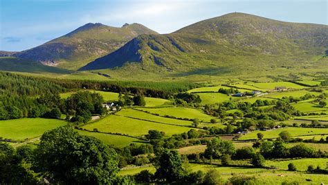 Mourne mountains – Ericvisser